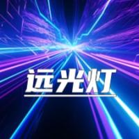 欧洲道路上中国车身影增多；销量增长伴随结构调整；赢得消费者信任成关键。