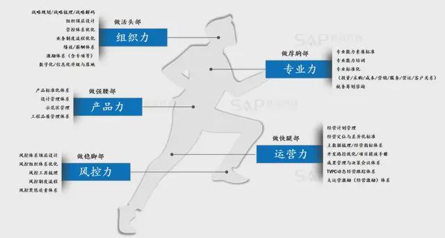 周期转换下的存量博弈:咨询行业穿越风雨的长期主义范式 企业服务