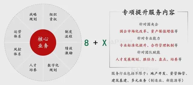 周期转换下的存量博弈:咨询行业穿越风雨的长期主义范式 企业服务
