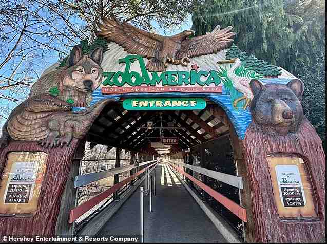  【深度复盘】手机分心酿成幼童险境：动物园安全防线的系统性失效与加固策略 新闻