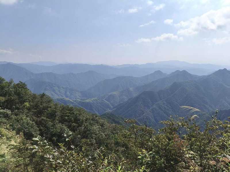  【技术解构】省际林业治理的精准化路径——基于龙田乡跨域联防的实战方法论 IT技术 【技术解构】省际林业治理的精准化路径——基于龙田乡跨域联防的实战方法论 IT技术