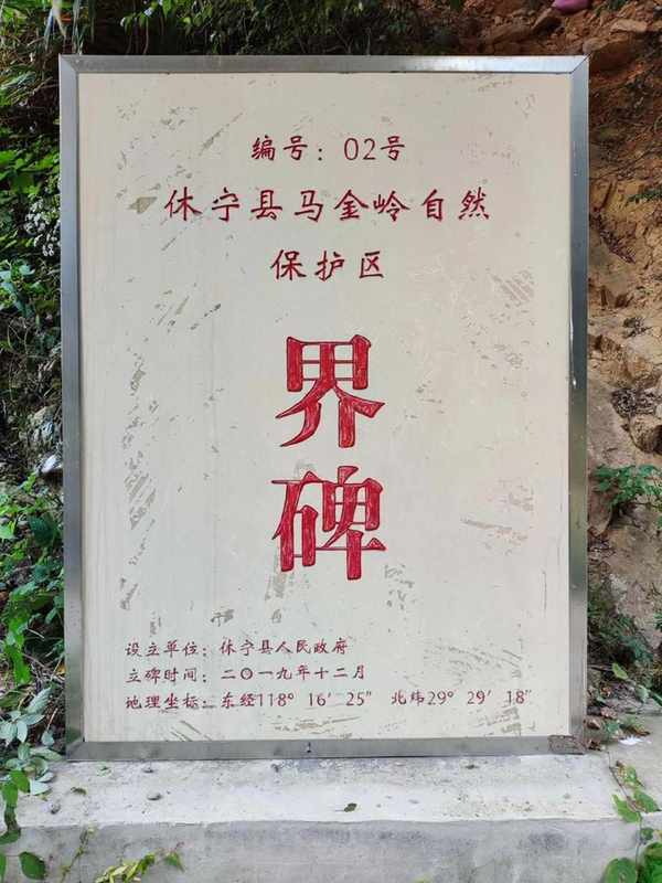  【技术解构】省际林业治理的精准化路径——基于龙田乡跨域联防的实战方法论 IT技术 【技术解构】省际林业治理的精准化路径——基于龙田乡跨域联防的实战方法论 IT技术