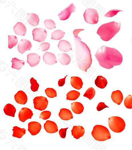  当“帮忙走账”变成一场噩梦：那些配合造假的企业，后来都怎样了？ 股票财经