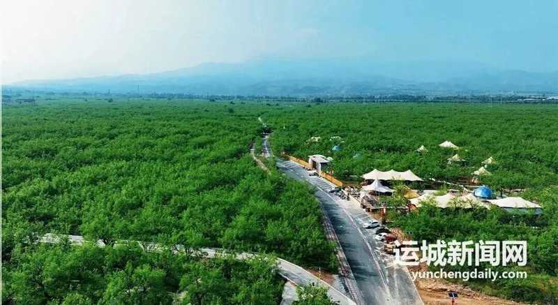  当故乡的春天被看见：一座小城如何用百场活动留住漂泊的心 文化旅游