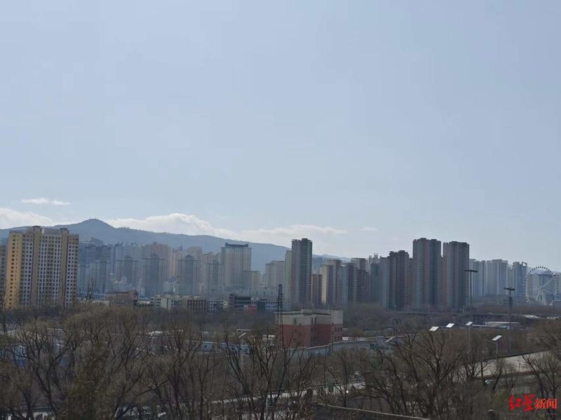  【技术复盘】雪豹进城应急处置全流程拆解：从预警到放归的方法论沉淀 新闻