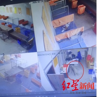  【技术复盘】雪豹进城应急处置全流程拆解：从预警到放归的方法论沉淀 新闻