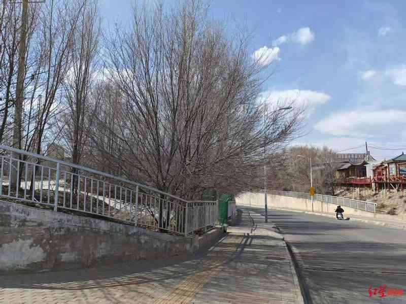  【技术复盘】雪豹进城应急处置全流程拆解：从预警到放归的方法论沉淀 新闻