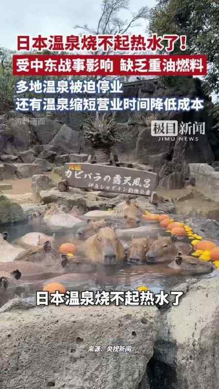  「能源断供启示录」：从日本温泉熄火透视地缘冲突下的供应链脆弱性 新闻