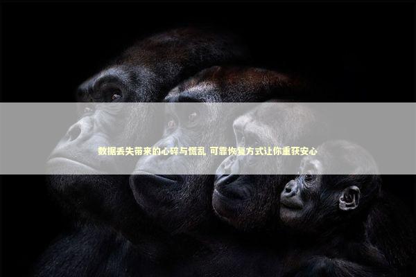 数据丢失带来的心碎与慌乱 可靠恢复方式让你重获安心 新闻