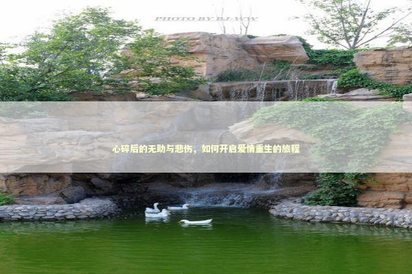 心碎后的无助与悲伤，如何开启爱情重生的旅程 新闻
