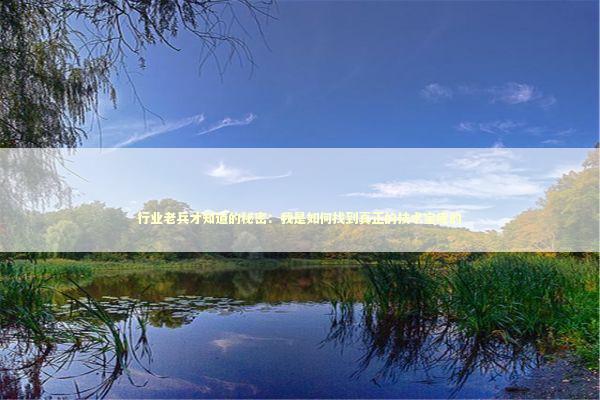 行业老兵才知道的秘密：我是如何找到真正的技术宝库的 IT技术