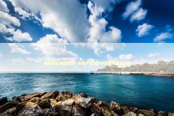 网络隐私频频泄露？老用户实测守护登录安全的心得 IT技术