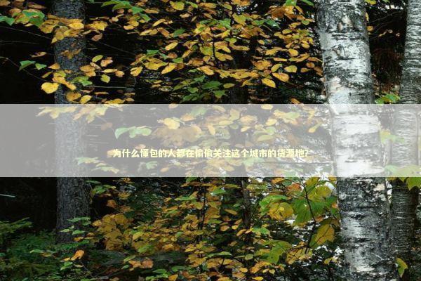 为什么懂包的人都在偷偷关注这个城市的货源地？ 时尚用品