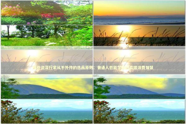 那些资深行家从不外传的选品原则：普通人也能学会的高端消费智慧 时尚用品