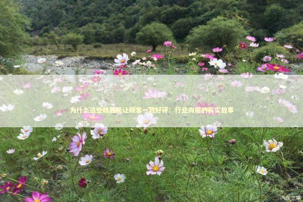 为什么这些精品能让顾客一致好评：行业内部的真实故事 企业服务