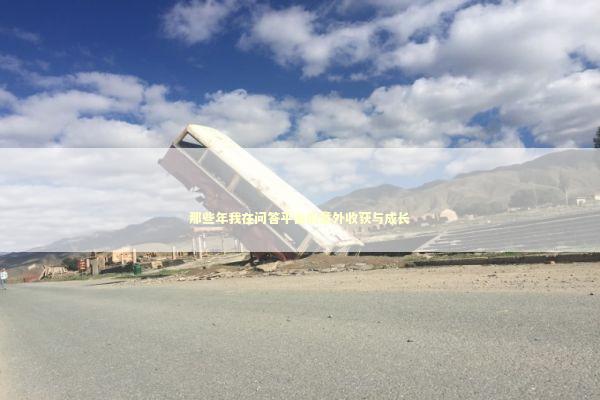 那些年我在问答平台的意外收获与成长 IT技术