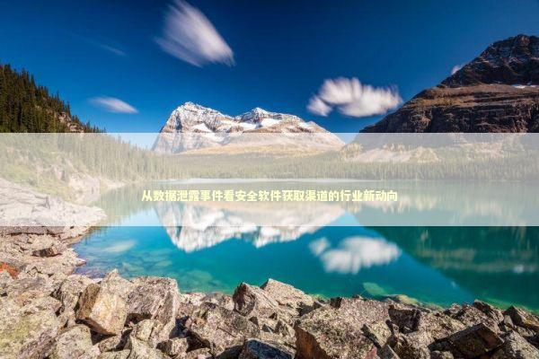 从数据泄露事件看安全软件获取渠道的行业新动向 IT技术